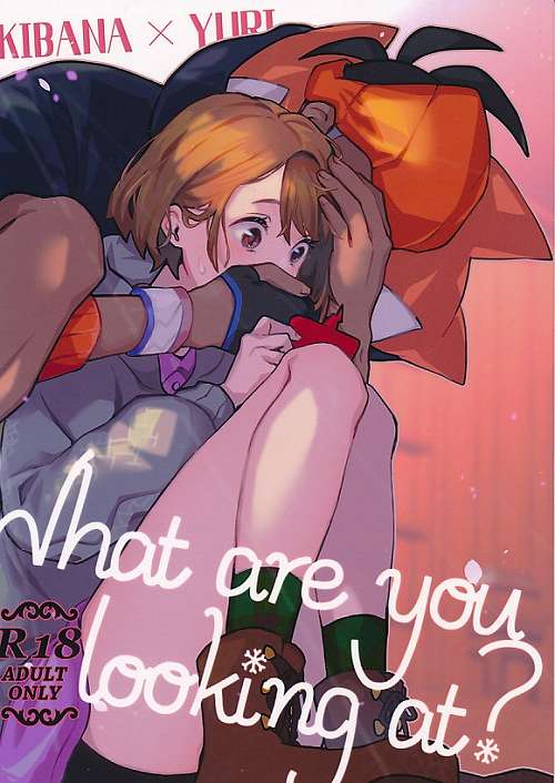 What are you looking at？