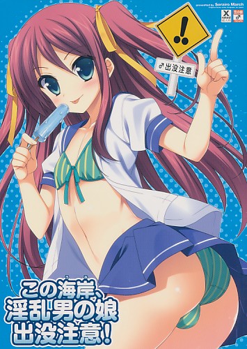 この海岸、淫乱男の娘出没注意!