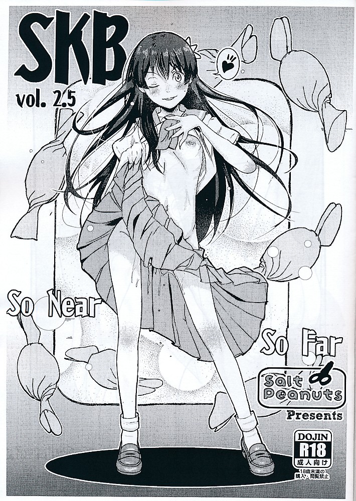 SKB vol.2.5