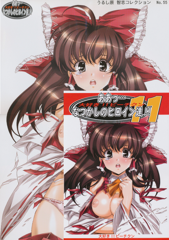 ポスター付) ああっ…なつかしのヒロイン達 vol.11