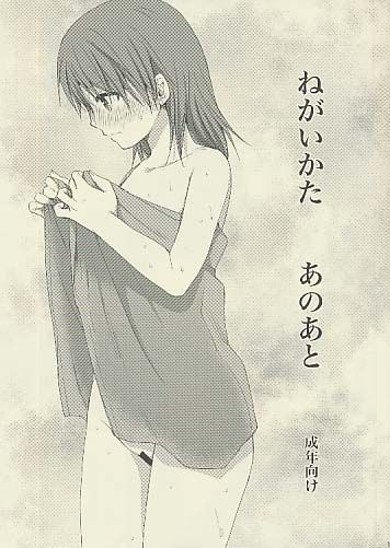 ねがいかた あのあと