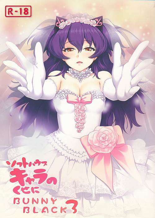 ソフトハウスキャラのくせに BUNNYBLACK 3