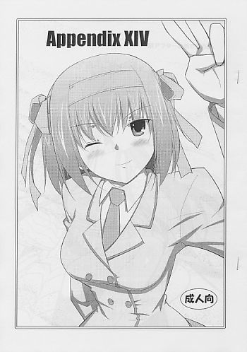 Appendix XIV