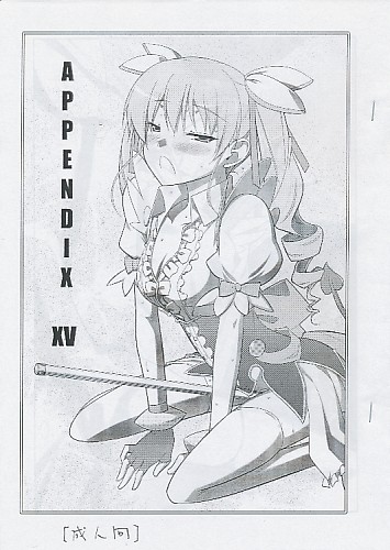 APPENDIX XV