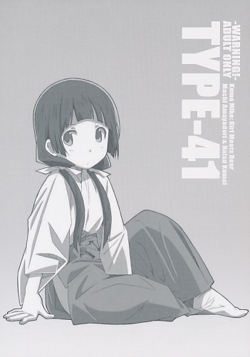 TYPE-41