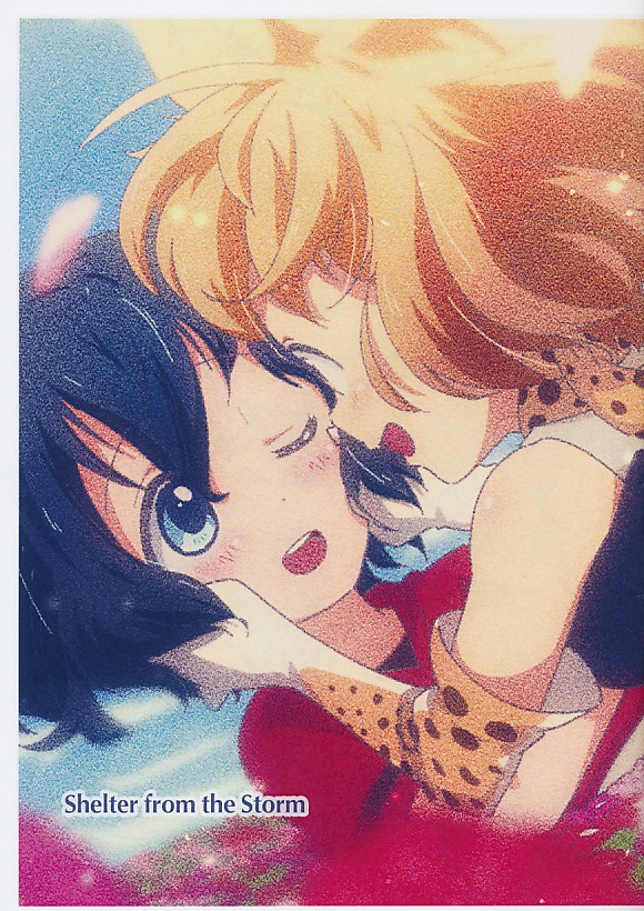 shelter from the Storm