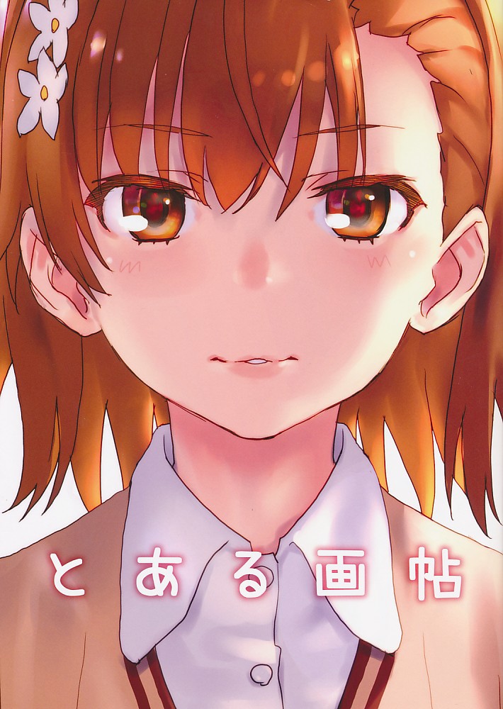 とある画帖