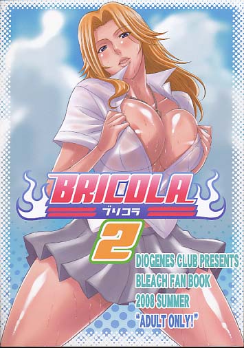 BRICOLA 2