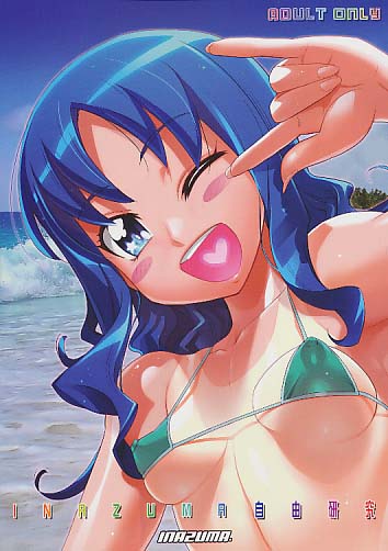INAZUMA自由研究