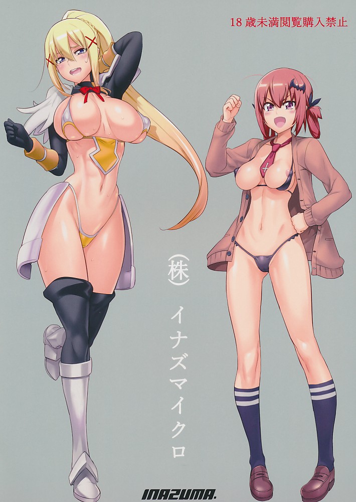 (株)イナズマイクロ