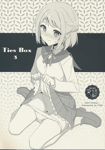 TIES BOX 3