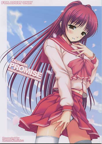 PROMISE