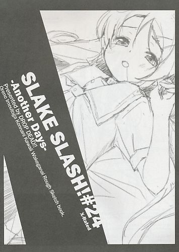 SLAKE SLASH! #24 -Another Days-