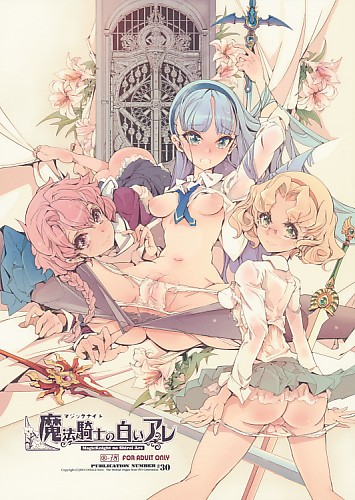 魔法騎士の白いアレ