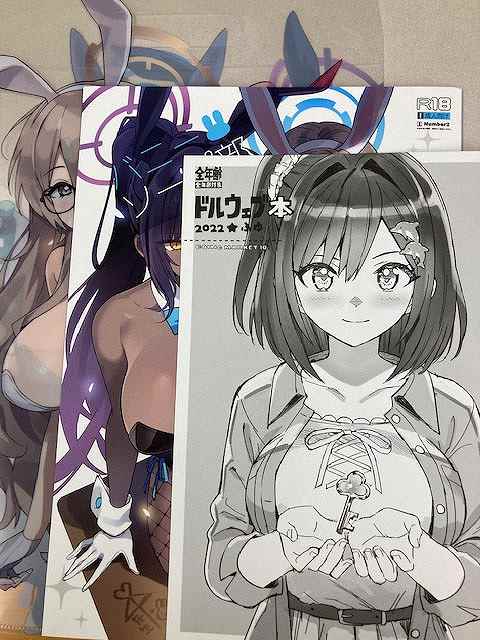 コミケ101・3点セット(A4同人クリアファイルバック+ドルウェブ本 2022★ふゆ＋バニーソープ部)
