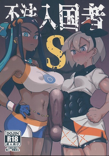 不法入国者S
