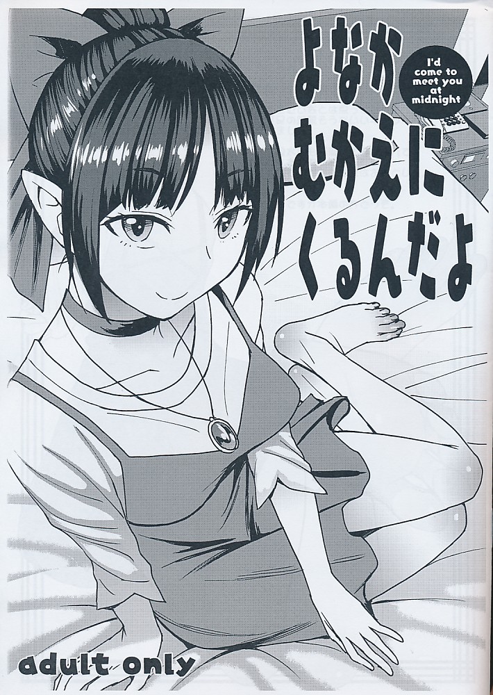 よなかむかえにくるんだよ