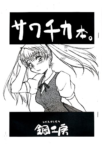 サワチカ本。