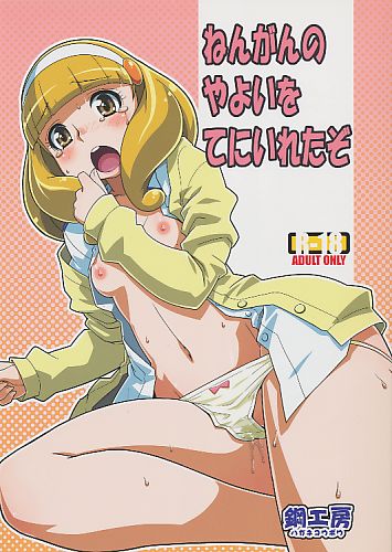 ねんがんの やよいを てにいれたぞ