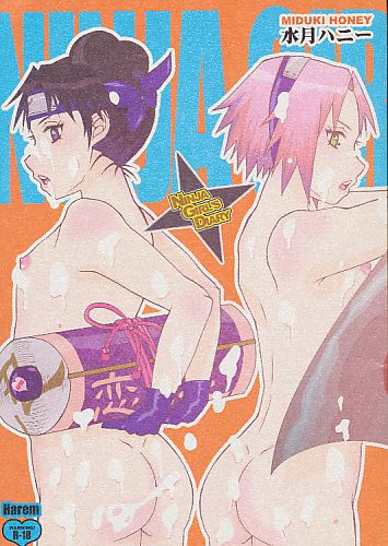NINJA GIRL'S DIARY