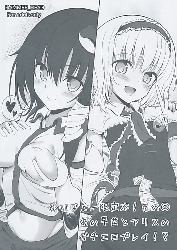 かいじょー限定本！その2 あの早苗とアリスのガチエロプレイ!?