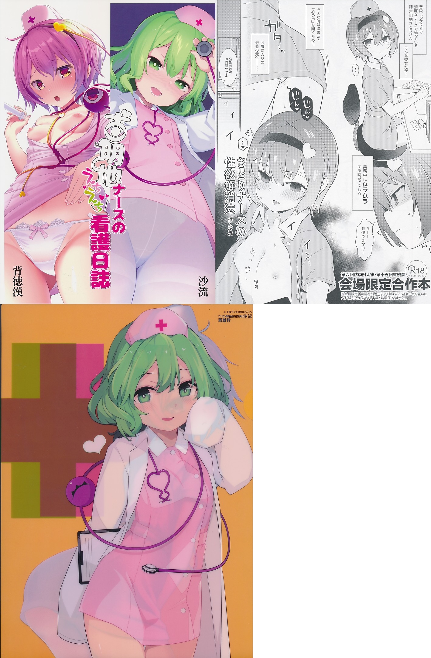 3点セット（クリアファイル／古明地ナースのえちえち看護日誌／さとりナースの性欲解消法