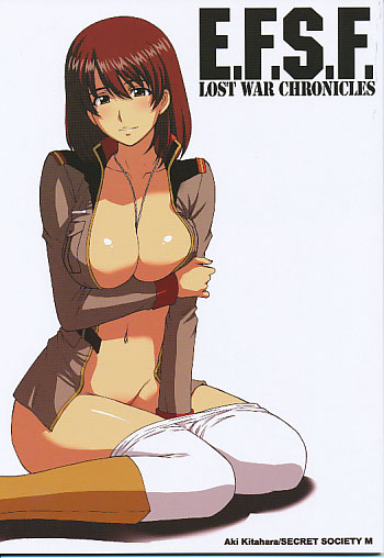 E.F.S.F.Lost War Chronicles