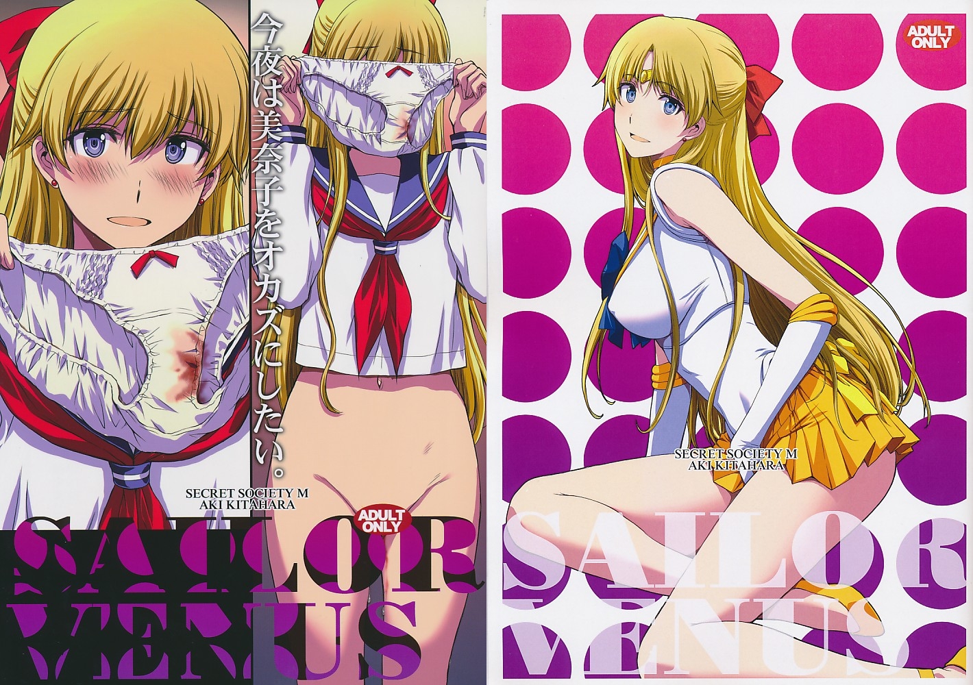 コミケ96・2点セット（今夜は美奈子をオカズにしたい。/SAILOR VENUS 令和初夏コピー誌【ヴィーナス調教おぢさんの投稿】