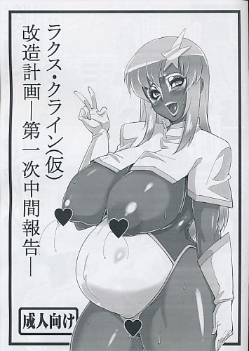 ラクス・クライン（仮）改造計画-第一次中間報告-