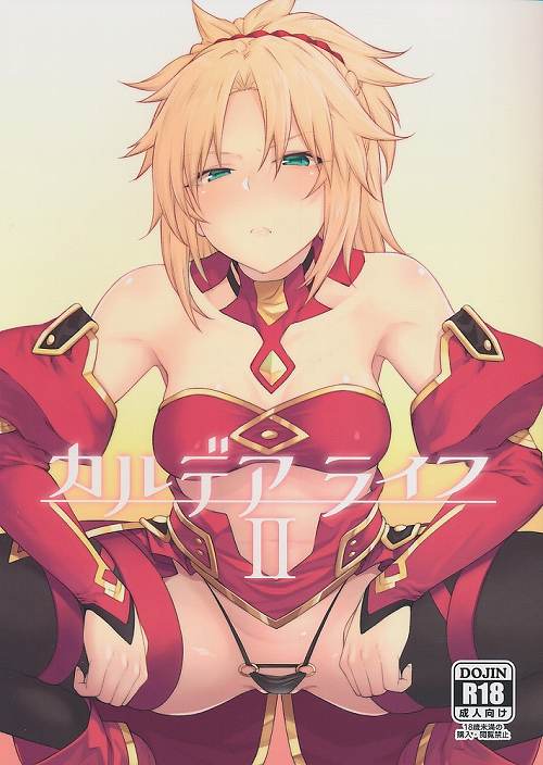 カルデアライフ II