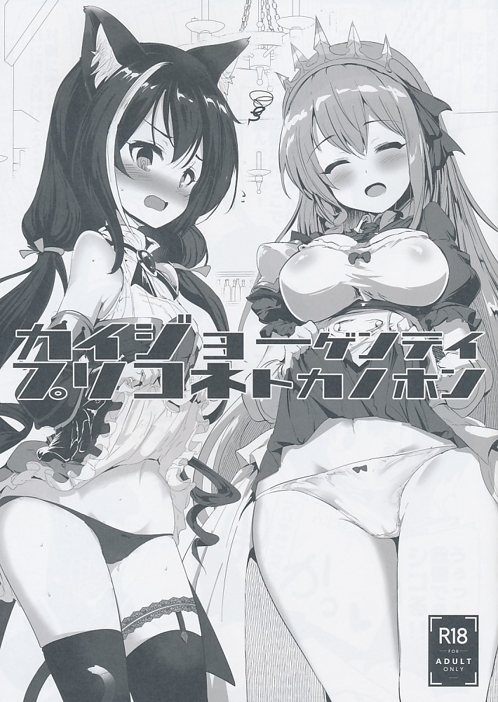 カイジョーゲンテイプリコネトカノホン