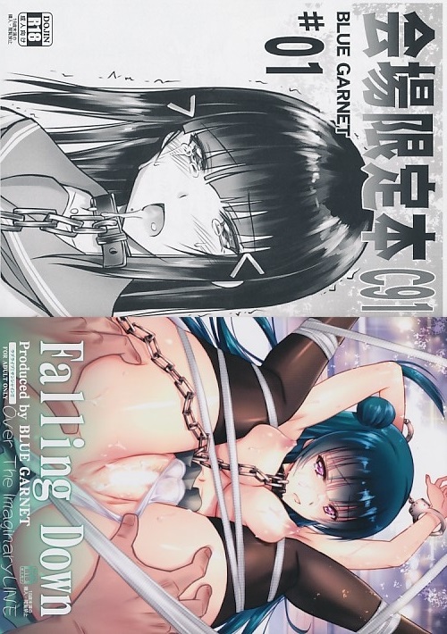 コミケ91 2点セット（Falling Down+会場限定本C91）