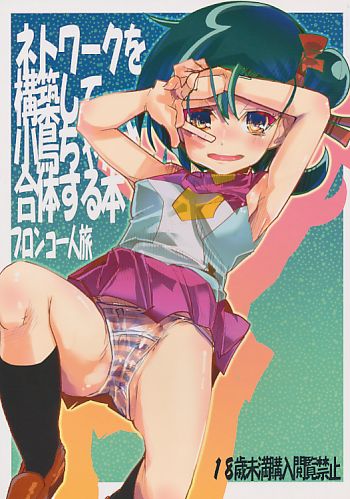 ネトワークを構築して小鳥ちゃんと合体する本