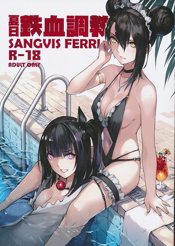 夏目鉄血調教 SANGVIS FERRI