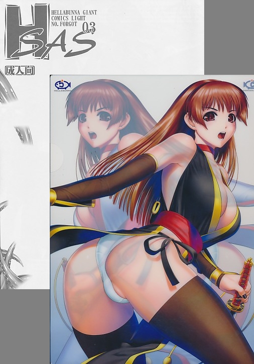 ｸﾘｱﾌｧｲﾙ付 ) H-SAS03