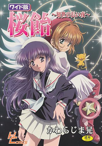 ワイド版桜飴 ～知世の長い夜～