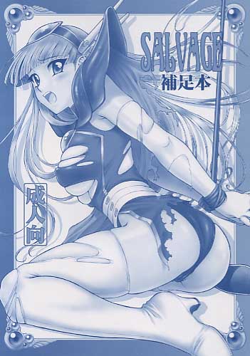 SALVAGE 補足本