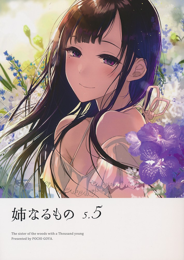 姉なるもの 5.5