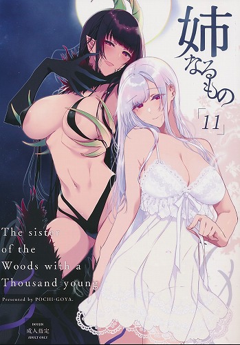姉なるもの 11