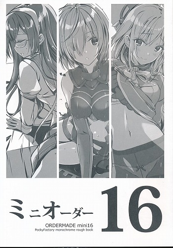 ミニオーダー 16