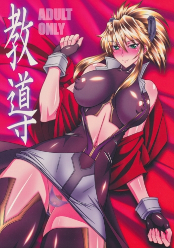 教導