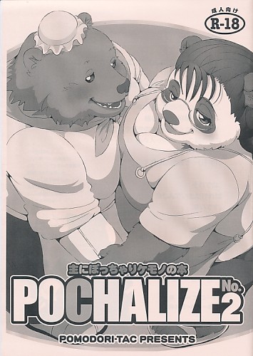 POCHALIZE NO.2