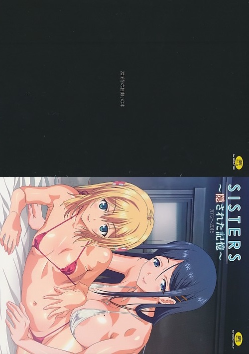 コミケ91 2点セット（SISTERS～隠された記憶～2012～2015+2016冬のおまけの本）