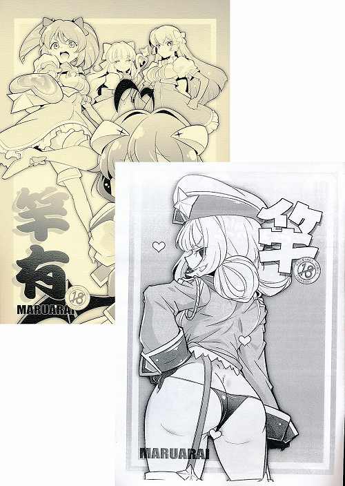 2点セット( 竿有 + 竿 )