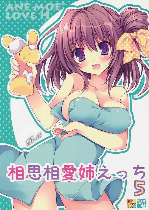 相思相愛姉えっち 5