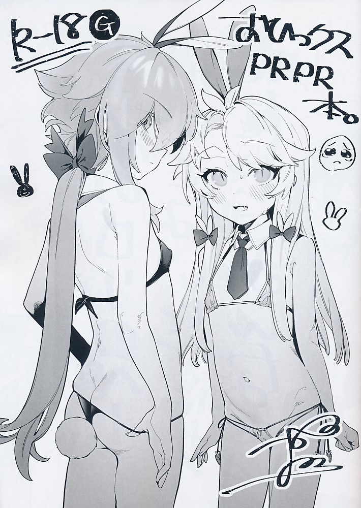 おひっクスPRPR本。