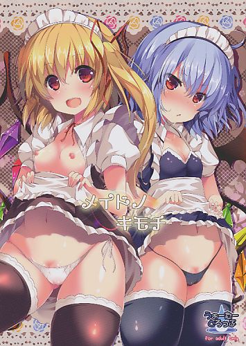 メイドノキモチ