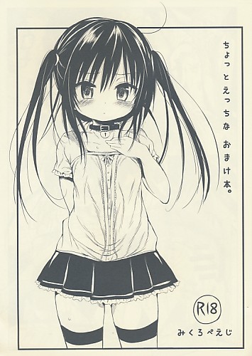 ちょっとえっちなおまけ本。