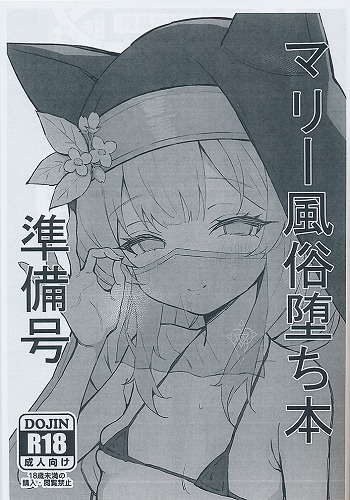 マリー風俗堕ち本　準備号