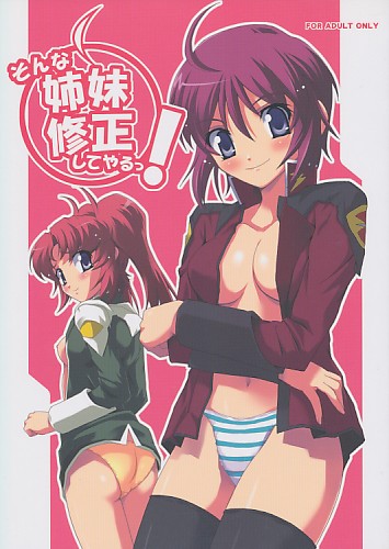 そんな姉妹修正してやるっ!